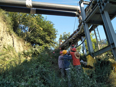 追趕超越，他們用行動爭做排頭兵