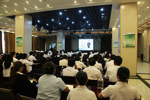 建設(shè)集團(tuán)開(kāi)展商務(wù)禮儀專題培訓(xùn)