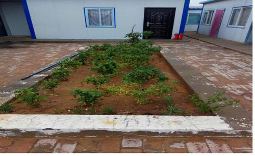 洗選煤運(yùn)營(yíng)公司傾心打造“舒適套餐”