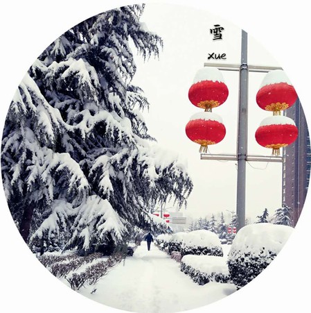 雪，寒冬里的溫柔