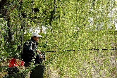 春天，一個多么富有詩意的名字??！