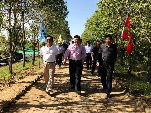 陜西省總工會(huì)黨組書(shū)記、主席白阿瑩一行蒞臨鄠邑區(qū)調(diào)研考察草堂寺健康養(yǎng)老示范項(xiàng)目