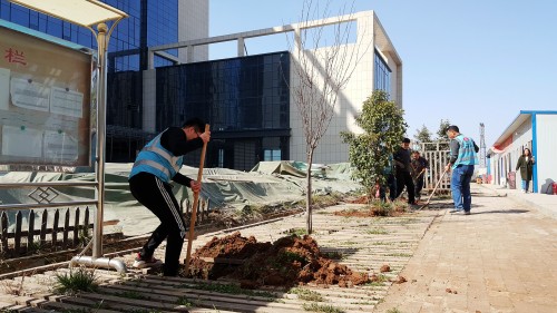 陜煤建設(shè)澄合分公司基層單位開展“植樹護(hù)綠，美麗家園”義務(wù)植樹活動(dòng)