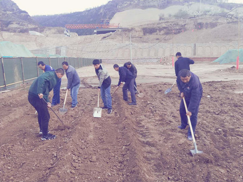 陜煤建設天工公司土建三部不負時光“務農(nóng)”  豐富員工餐桌