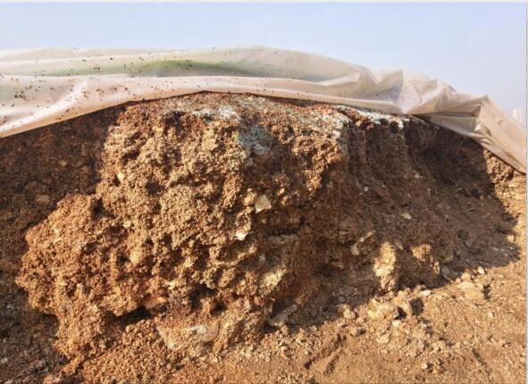 “廢料”變“肥料”，蘑菇包在土壤改良中的應(yīng)用