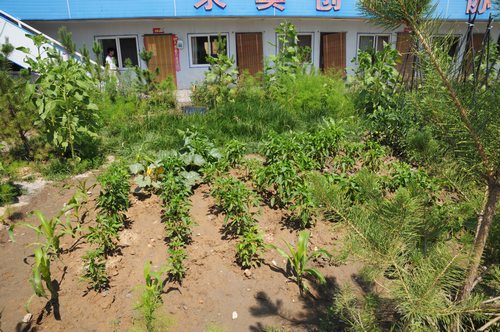 陜煤建設(shè)掘進(jìn)公司：北翼項(xiàng)目部走出一條綠色發(fā)展路