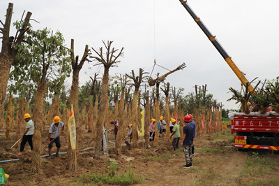用心用情建好民生工程