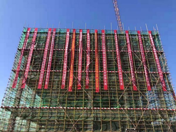 子洲黃芪綜合開發(fā)中藥材提取物生產(chǎn)線項(xiàng)目主體結(jié)構(gòu)全面封頂