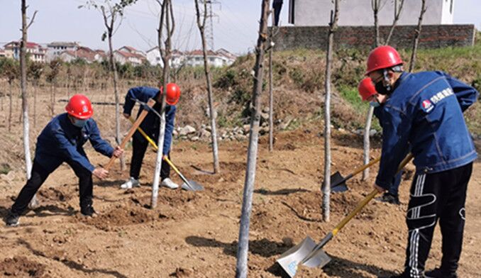 今天你植樹了嗎？