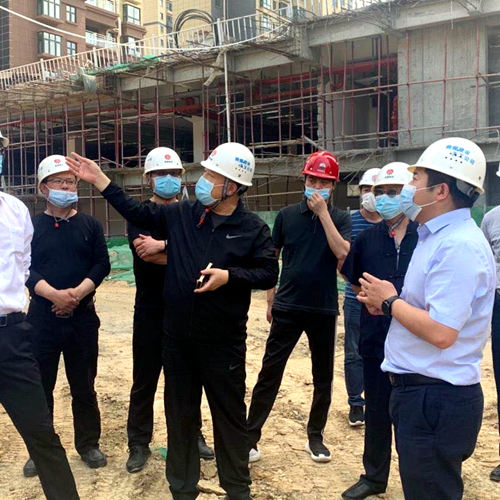 王寧深入大秦置業(yè)公司龍灣水境項目檢查指導項目開發(fā)建設工作
