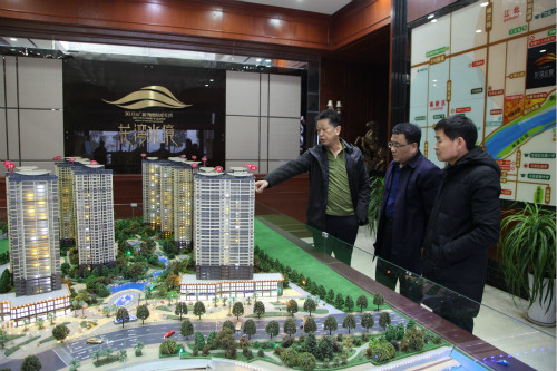 公司領導王明智、楊讓順深入龍灣水境項目視察指導工作