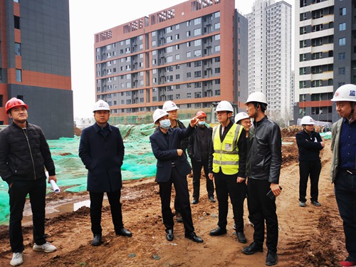 楊讓順深入藍(lán)山水岸項目檢查指導(dǎo)工作