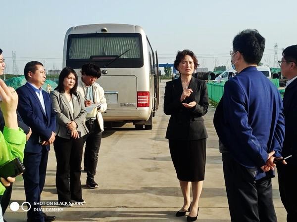 河南省許昌市副市長(zhǎng)趙淑紅一行深入陜煤建設(shè)渭南分公司河南龐源項(xiàng)目進(jìn)行調(diào)研