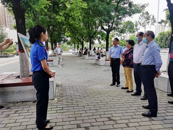 西安市碑林區(qū)人大代表深入陜煤建設澄合分公司承建的背街小巷提升改造項目進行考察