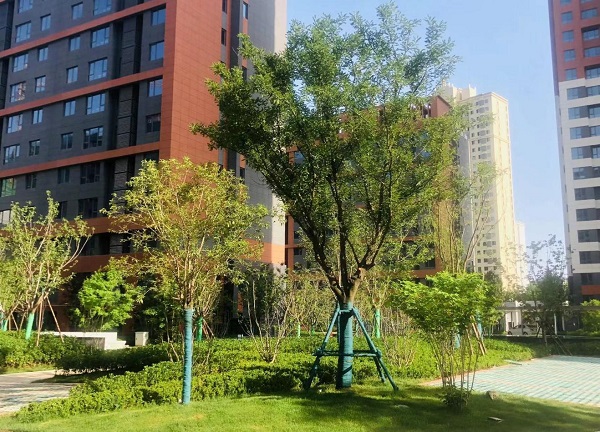 陜煤建設(shè)綠宇公司：藍(lán)山水岸項目收尾顯擔(dān)當(dāng)  大干快干展新顏