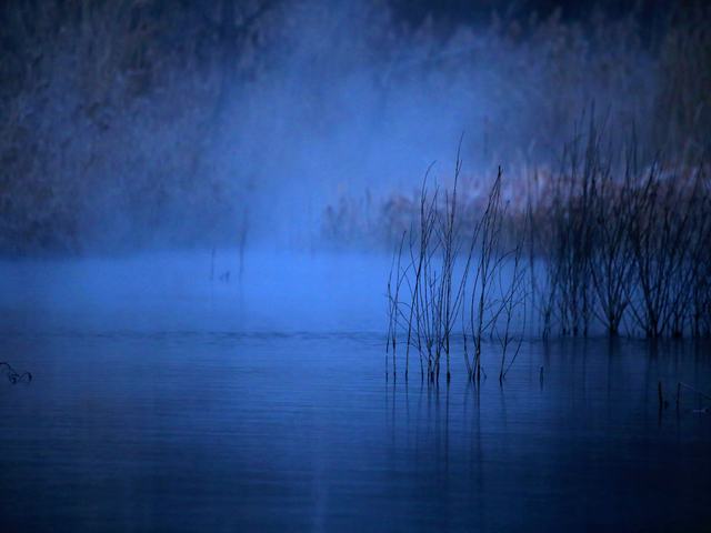 “冬月”你好！