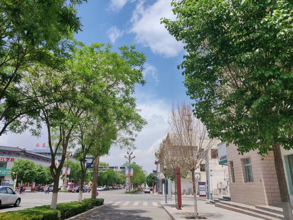 青春，慢點(diǎn)走