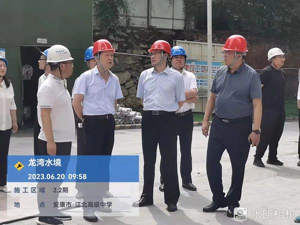司正林在龍灣水境項目檢查指導(dǎo)工作