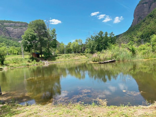 春天再見(jiàn)，夏天你好