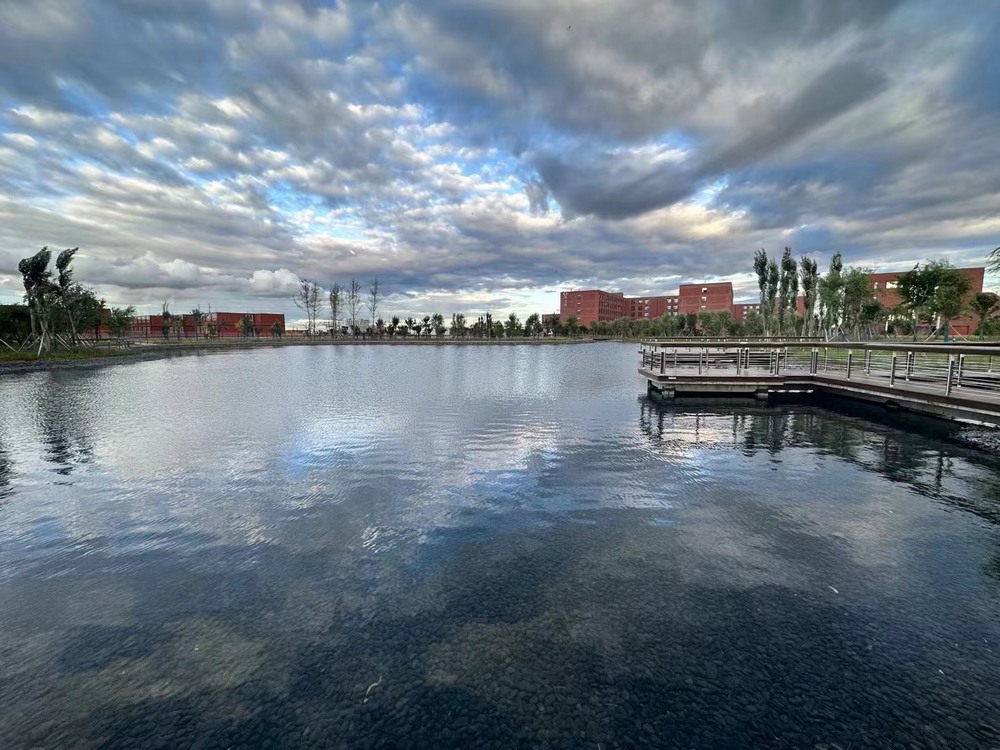 我與企業(yè)同成長(zhǎng)共繁榮