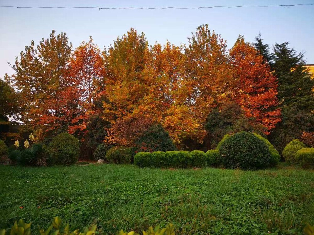 秋季的礦區(qū)