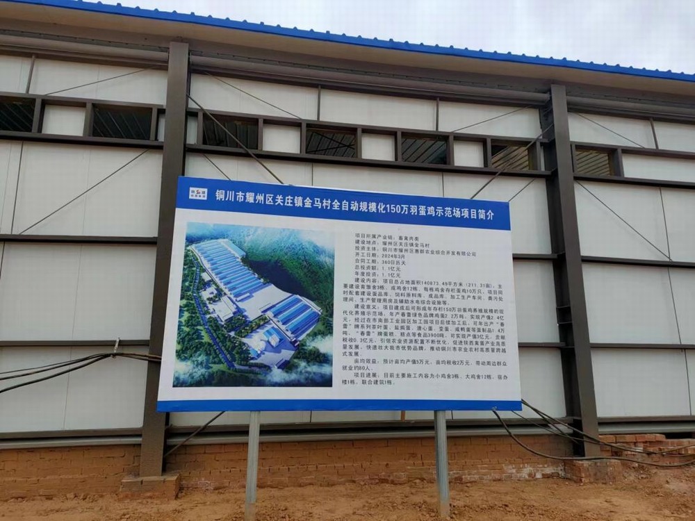 陜煤建設設計研究院：銅川市耀州區(qū)關莊鎮(zhèn)金馬村全自動規(guī)?；?50萬羽蛋雞示范場項目主體驗收