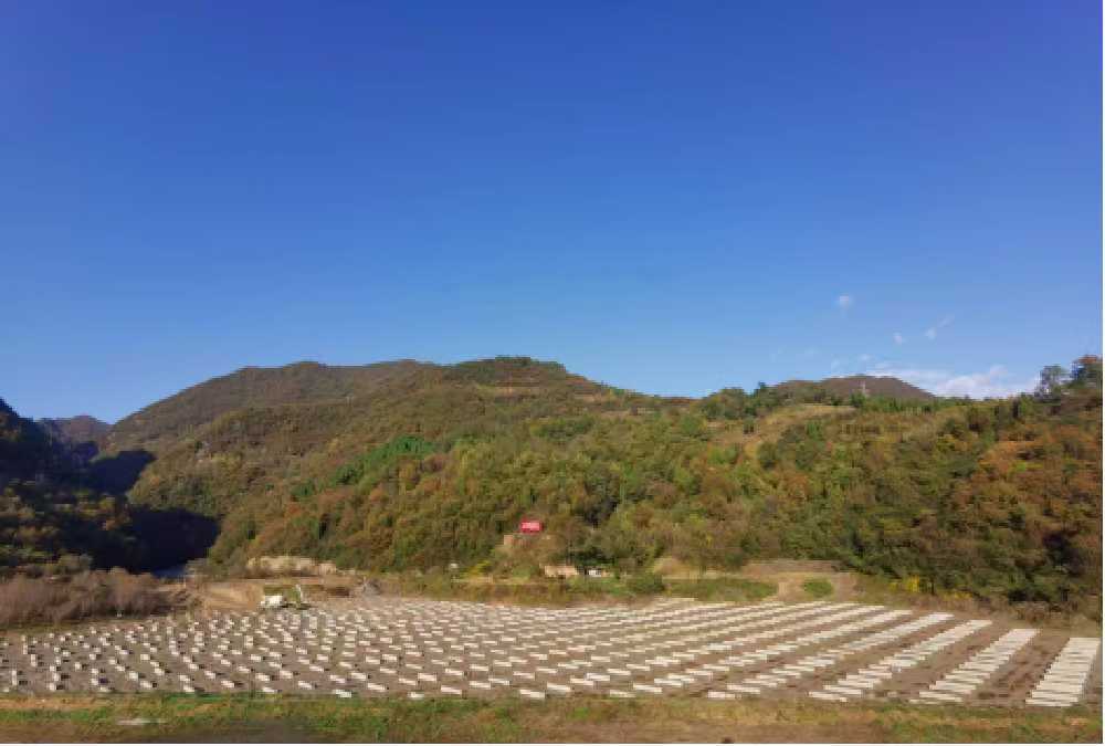 抓安全 保質(zhì)量 搶進(jìn)度 漢中分公司全力推進(jìn)重點項目建設(shè)