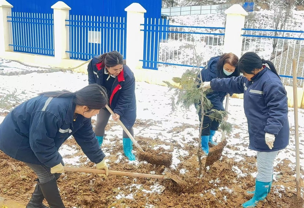 陜煤建設礦建三公司：巾幗添綠綻芳華，共筑生態(tài)新環(huán)境