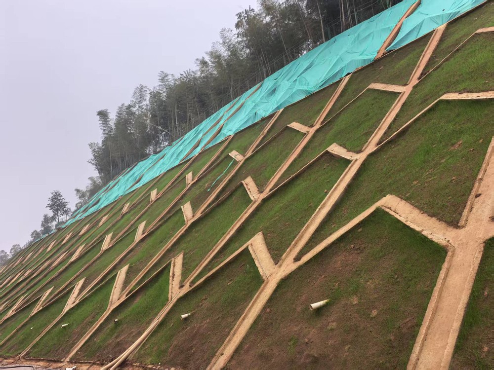 陜煤建設(shè)西北分公司：邊坡披綠衣，防護(hù)顯匠心