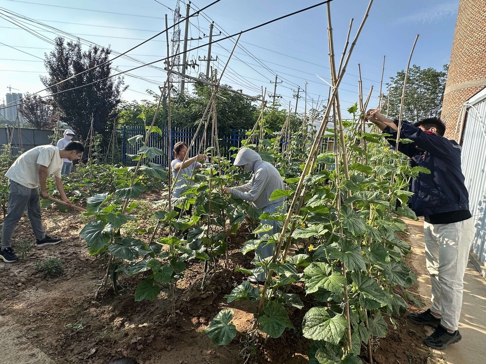 方寸菜園間，鐫刻奮斗與溫情