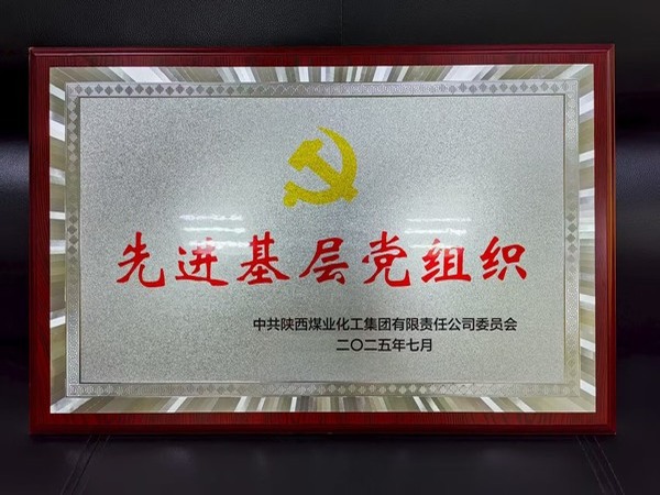 陜煤建設(shè)煤礦運營服務(wù)分公司黨總支榮獲陜煤集團“先進基層黨組織”稱號