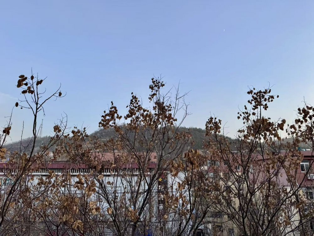 秋意漸濃時(shí)，回望來(lái)時(shí)路