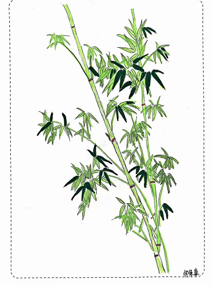 漫說(shuō)廉潔！這組“草木廉盟”太可了