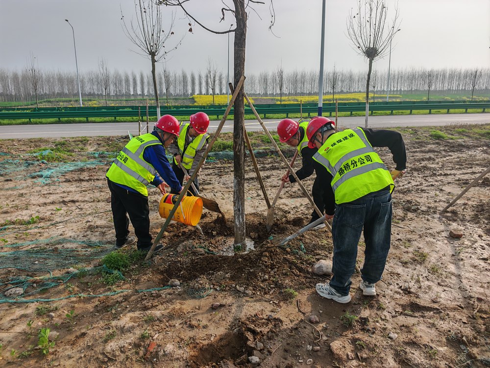 陜煤建設(shè)路橋分公司荊州項(xiàng)目部開展植樹活動(dòng)