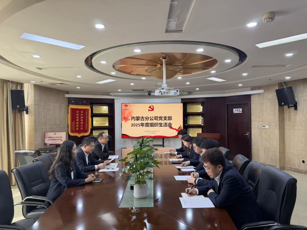 陜煤建設(shè)內(nèi)蒙古分公司召開(kāi)2025年度組織生活會(huì)暨民主評(píng)議黨員工作