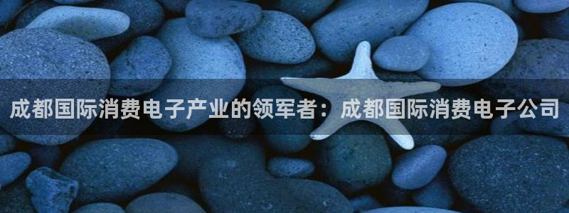 凯发K8国际首页|成都国际消费电子产业的领军者:成都国际消费电子公司