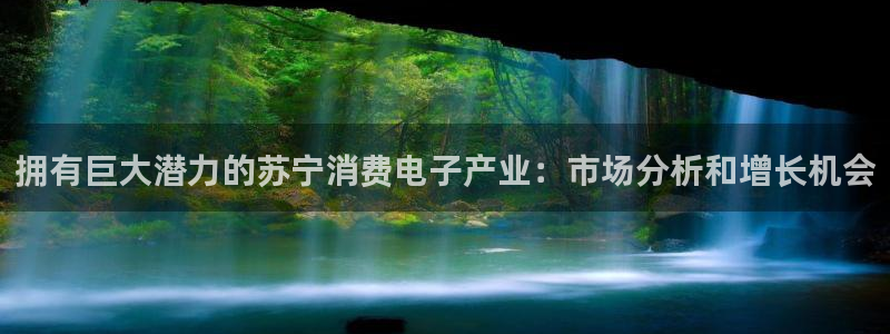 凯发k8官网登录入口|拥有巨大潜力的苏宁消费电子产业:市场分析和增长机会