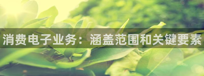凯发k8国际手机网页|消费电子业务:涵盖范围和关键要素