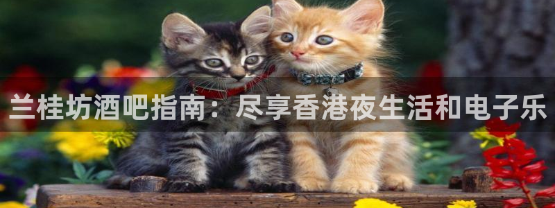 凯发国际网站官网首页|兰桂坊酒吧指南:尽享香港夜生活和电子乐