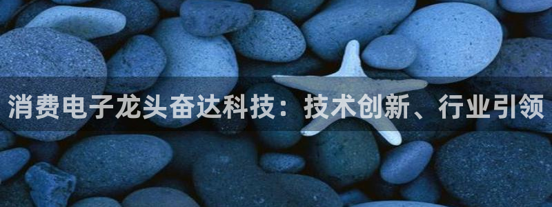 凯发ag旗舰厅网站下载|消费电子龙头奋达科技:技术创新、行业引领