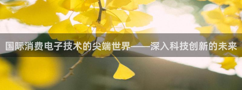 凯发k8唯一官方|国际消费电子技术的尖端世界——深入科技创新的未来