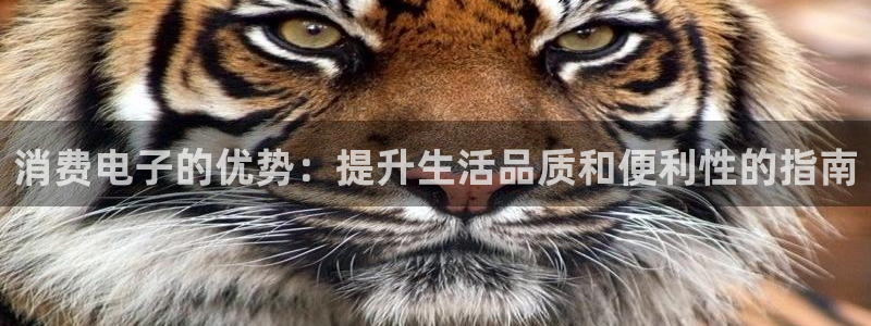 凯发k8国际手机网页|消费电子的优势:提升生活品质和便利性的指南