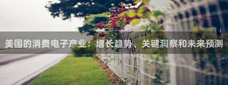 凯发k8官网登录入口|美国的消费电子产业:增长趋势、关键洞察和未来预测